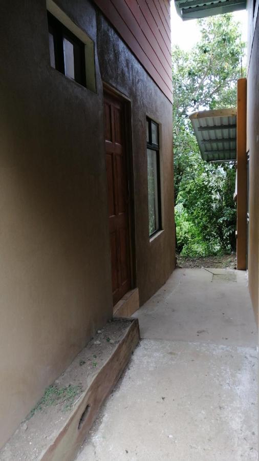 Monteverde Monte Green Dış mekan fotoğraf