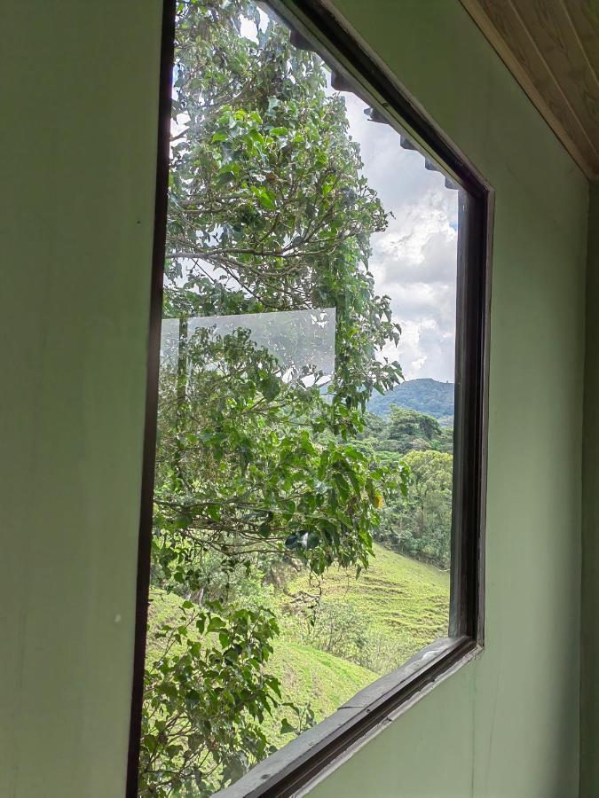 Monteverde Monte Green Dış mekan fotoğraf