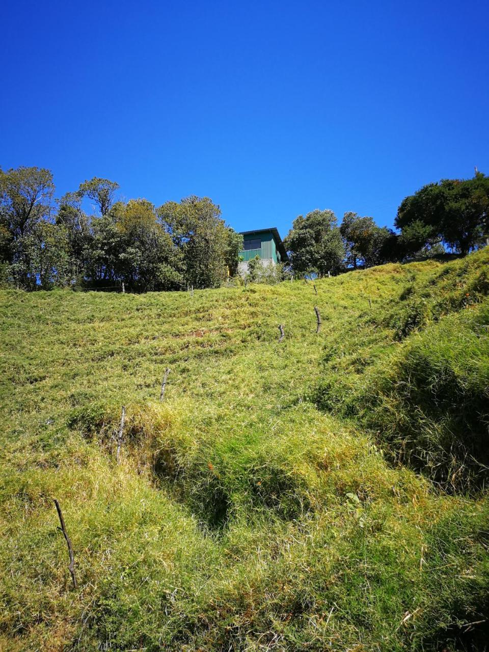 Monteverde Monte Green Dış mekan fotoğraf